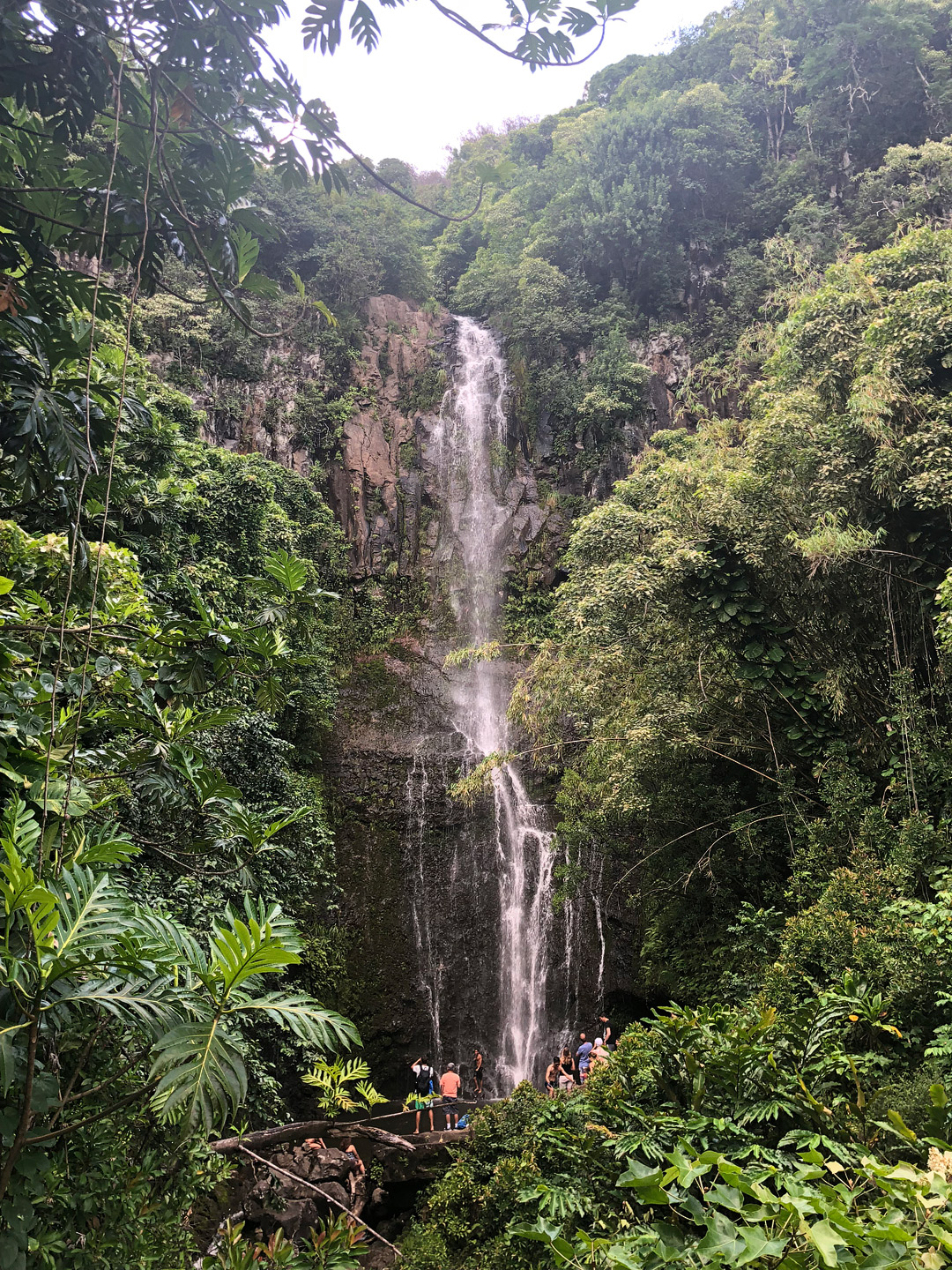 Wailua Falls Hike + 19 Road to Hana Stops You Can't Miss in Maui Hawaii // Local Adventurer #hana #maui #hawaii #usa #travel #roadtrip #hiking #waterfall #outdoors #roadtohana