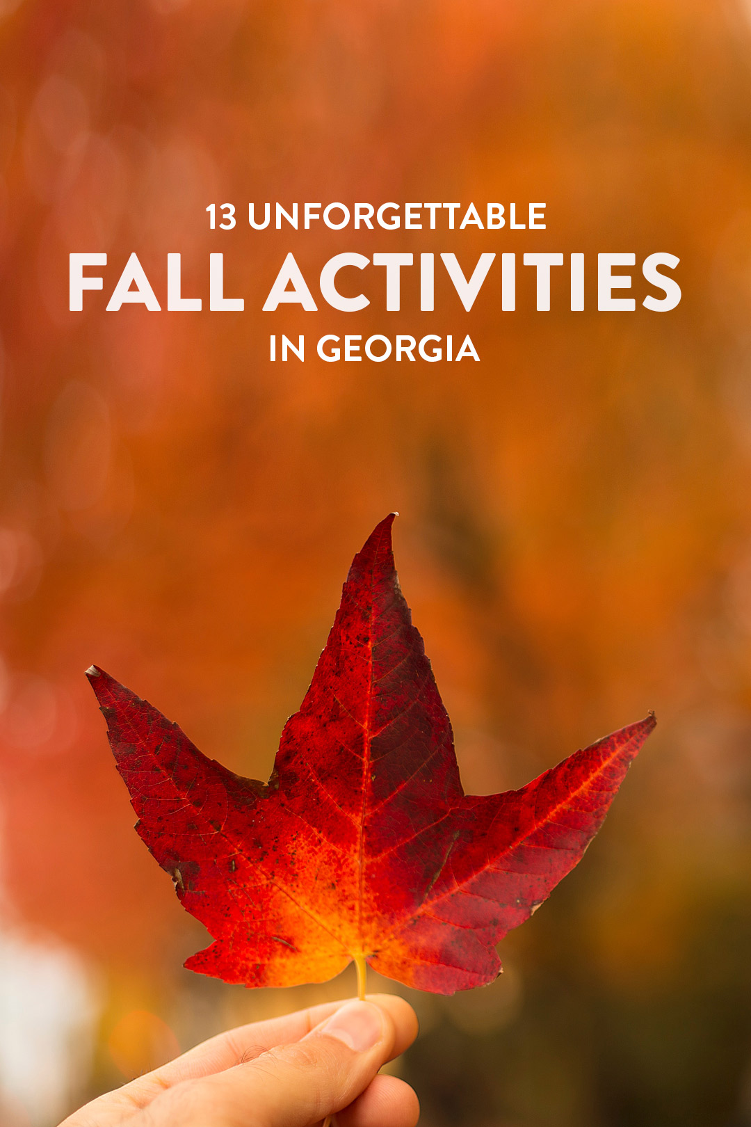 13 Fall Activities and Pumpkin Patches in Georgia You Can't Miss // Local Adventurer #georgia #fall #autumn #fallactivities #falltravel