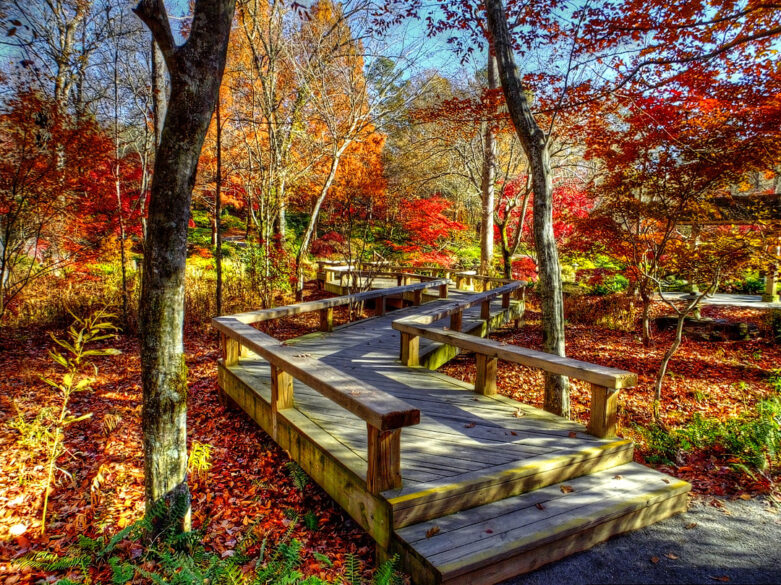11 Unforgettable Fall Activities and Pumpkin Patches in Georgia