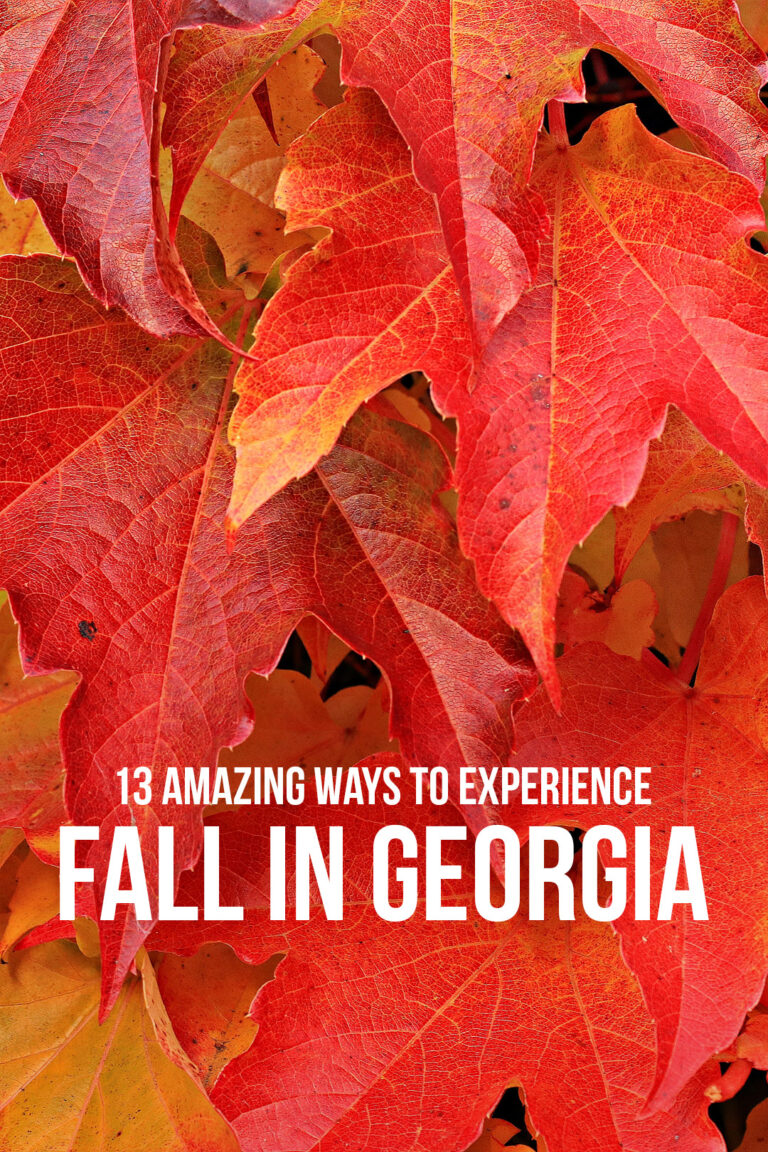 11 Fall Activities and Pumpkin Patches in