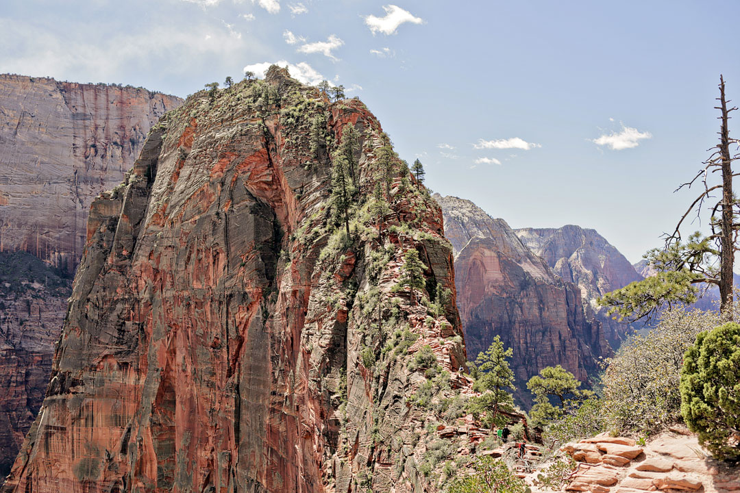 How to Hike Angels Landing Zion National Park