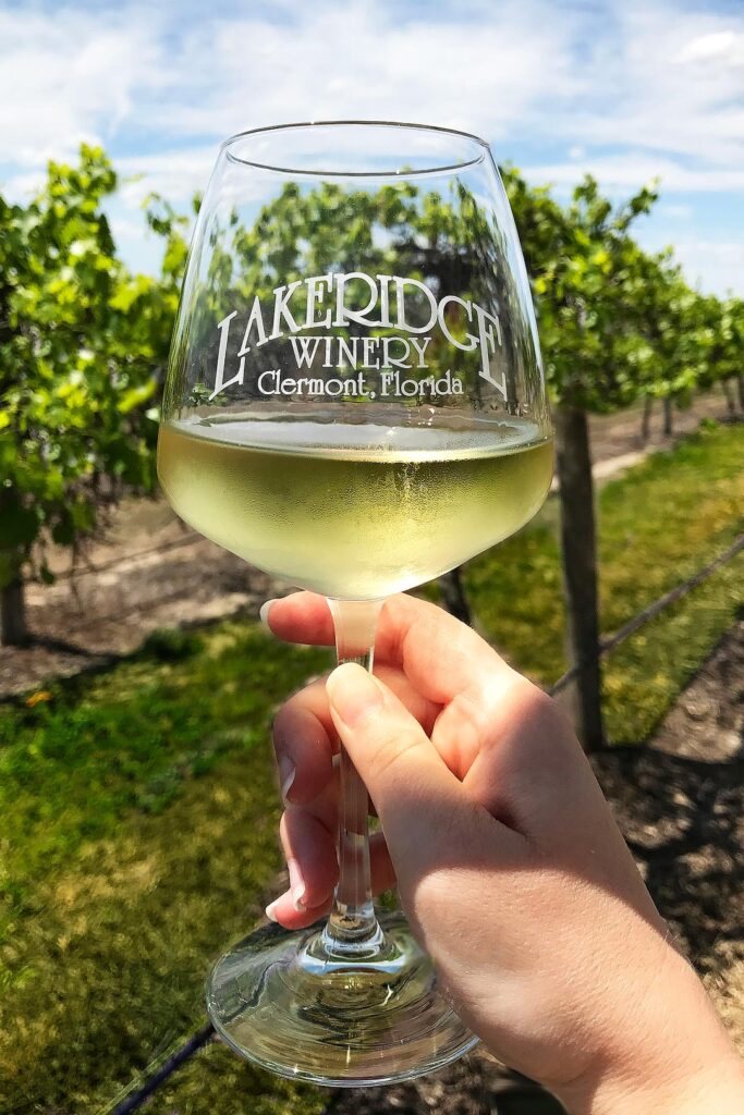 Lakeridge Winery + 25 Orlando Things to Do for Free