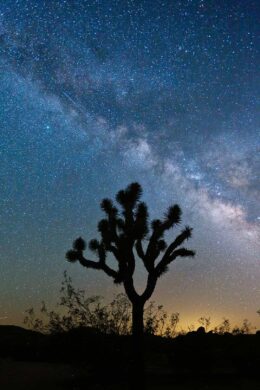 7 Breathtaking National Parks Near Las Vegas You Need to See » Local