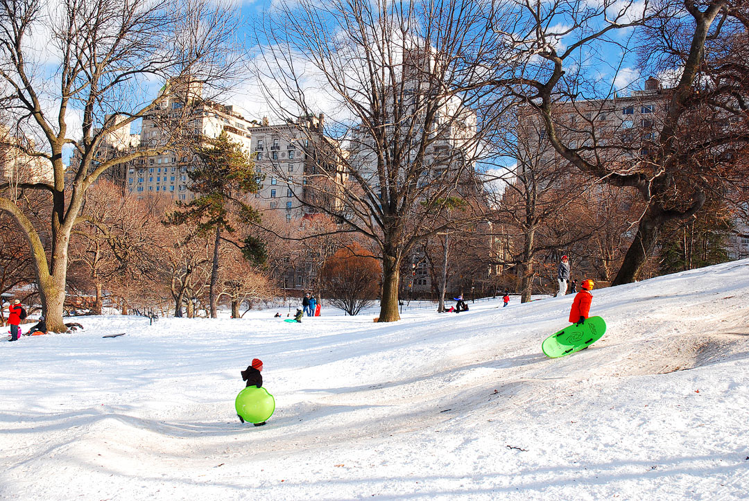 Pilgrim Hill Central Park Sledding