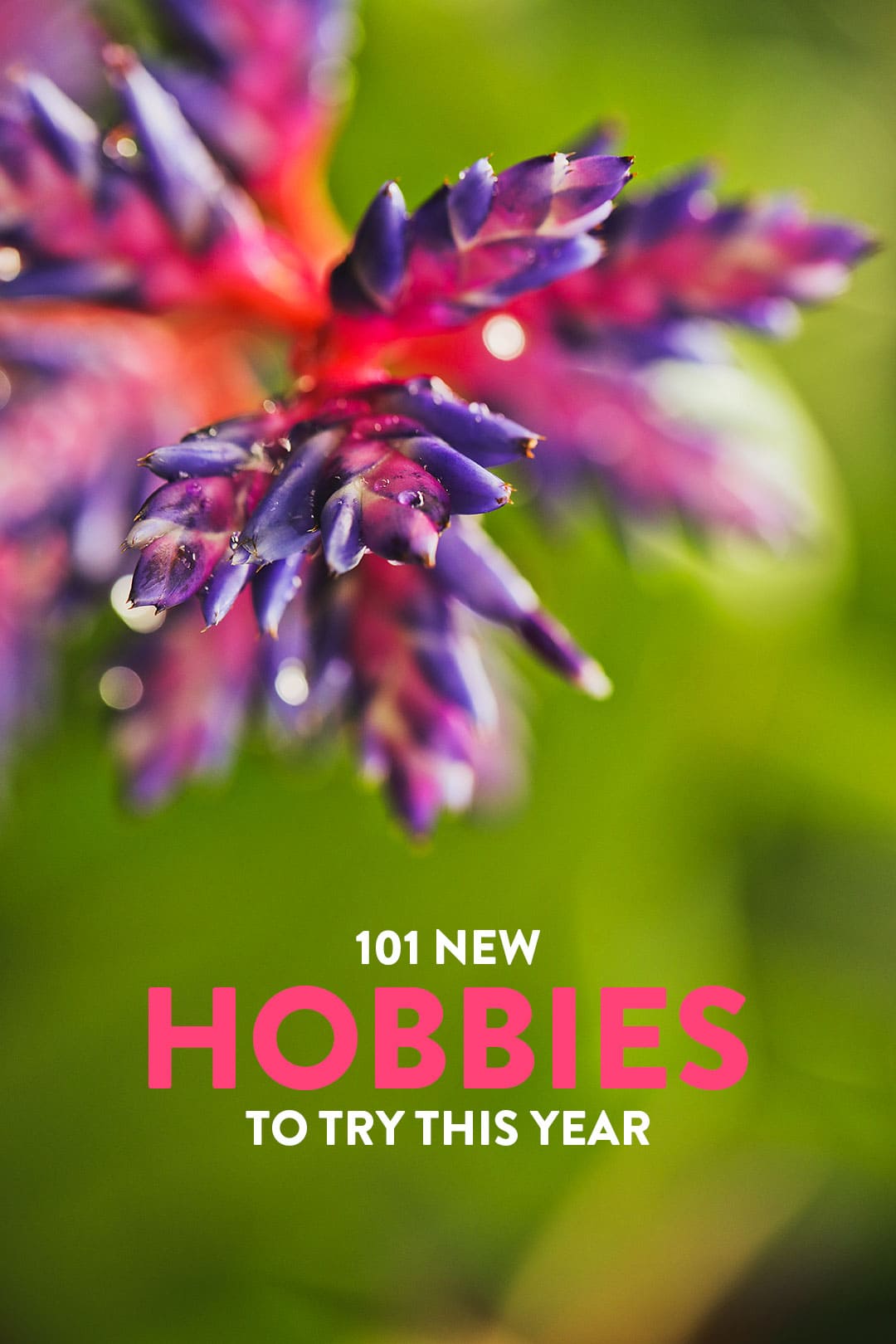 101 New Hobbies to Try in the New Year - Listed by Types of Hobbies