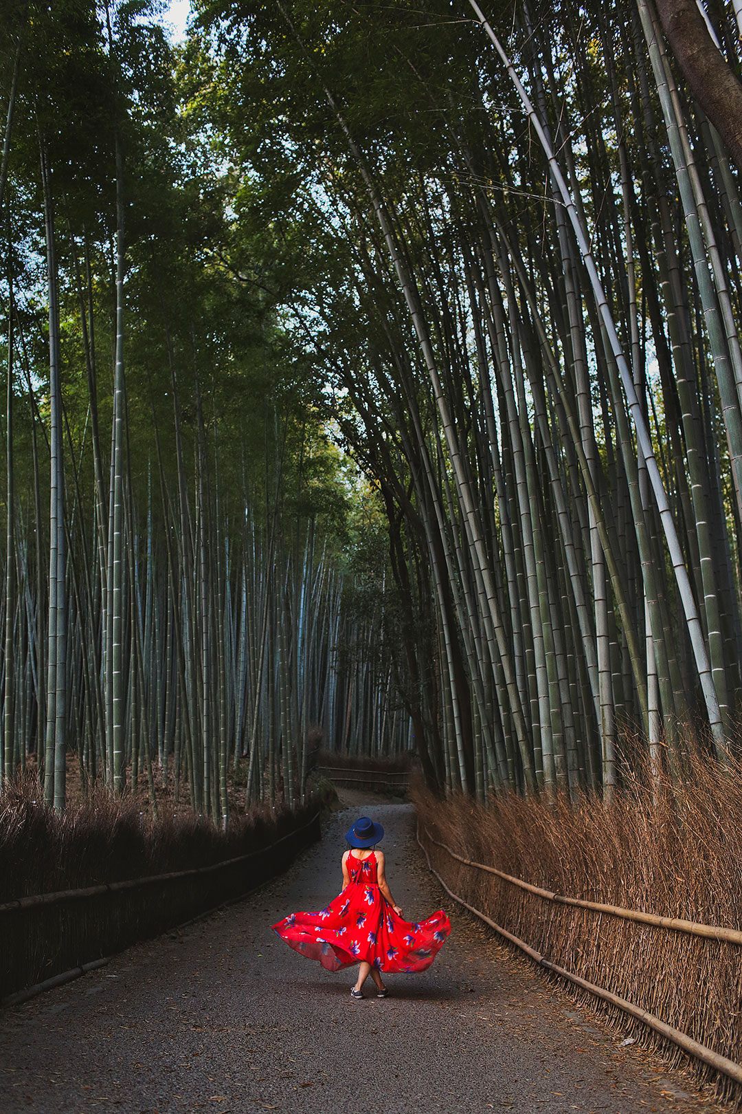 Arashiyama Bamboo Forest