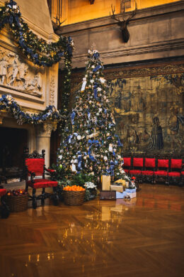 9 Things to Do at Biltmore + A Biltmore Estate Christmas in Asheville NC