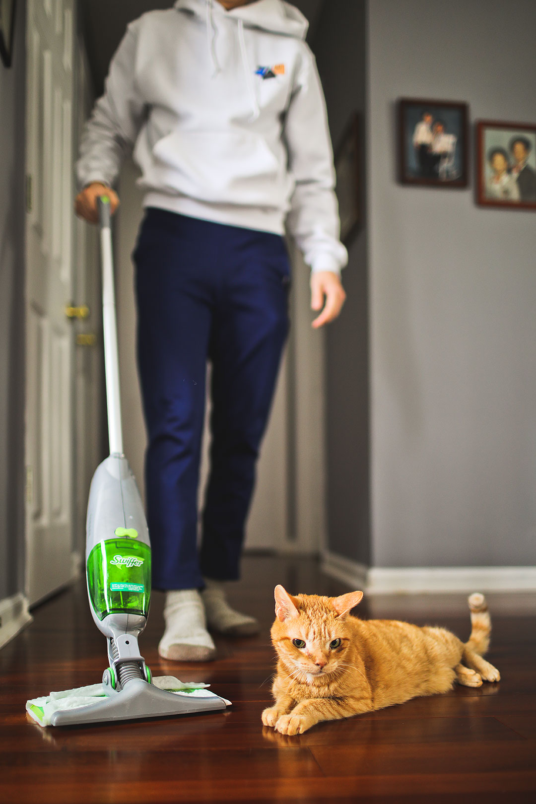 Our Cat Adoption Story + Swiffer Sweeper Refills