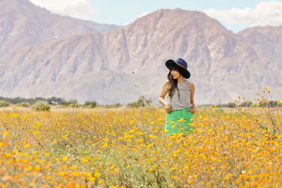 Anza Borrego Super Bloom + Best Places to Find California Wildflowers in Socal