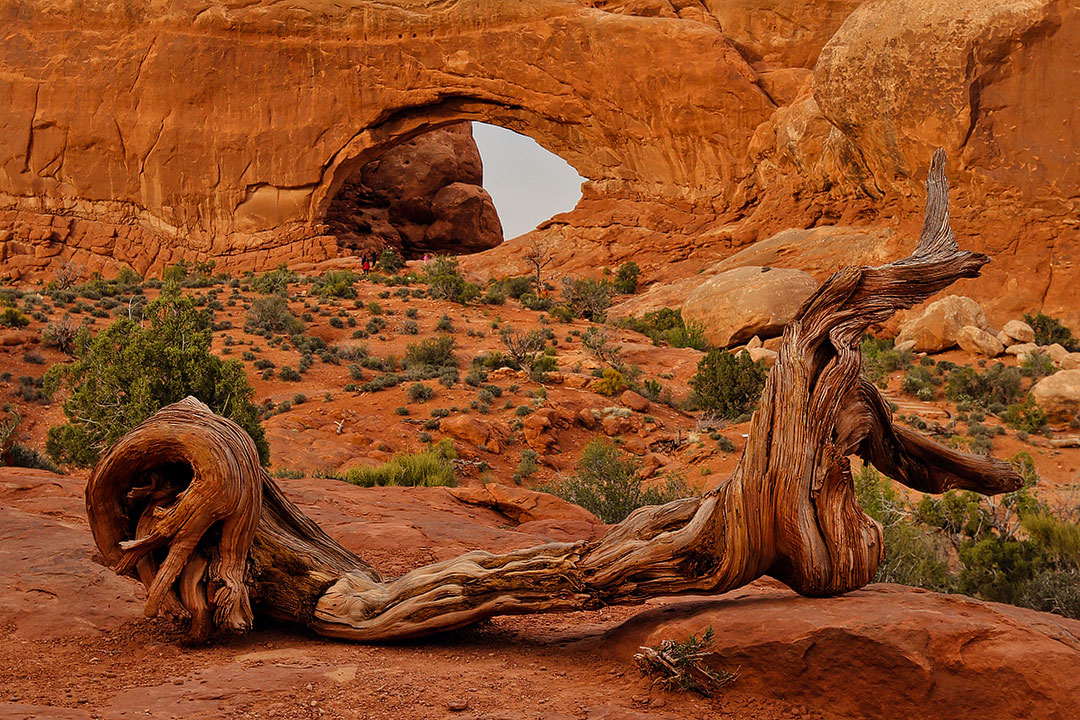 Arches National Park Utah