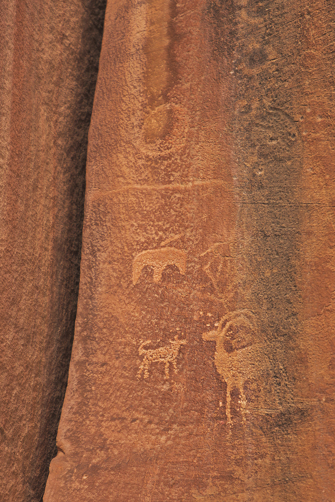 Capitol Reef Utah National Park Petroglyphs