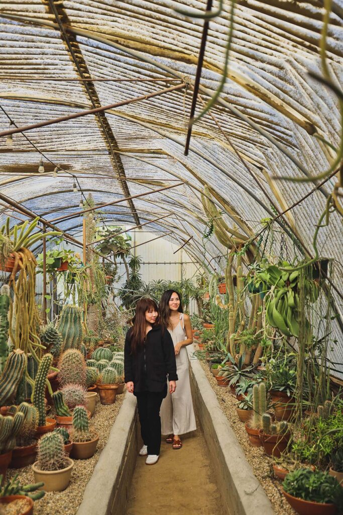 moorten botanical gardens