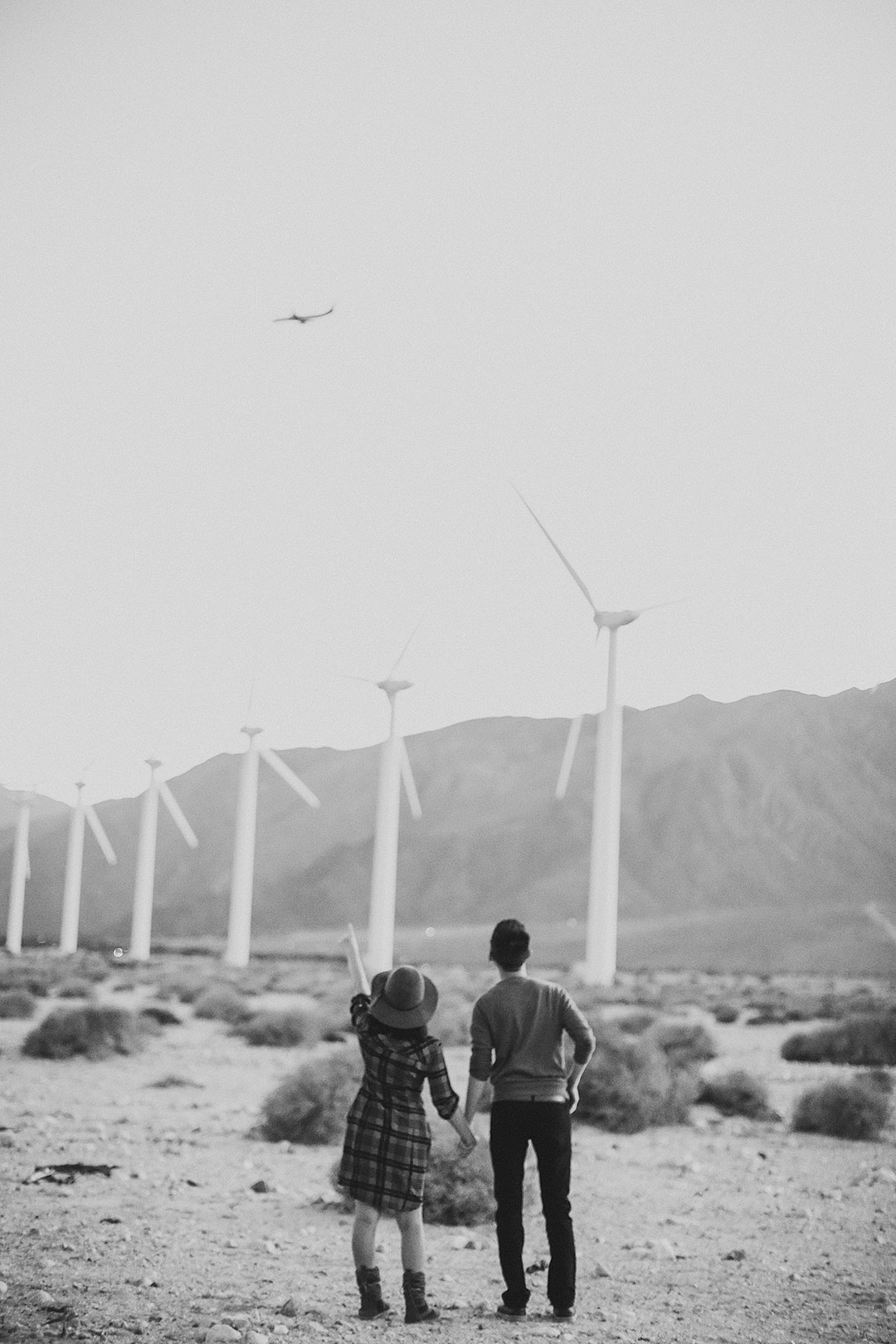 Palm Springs Wind Farm + 15 Palm Springs Attractions You Can't Miss