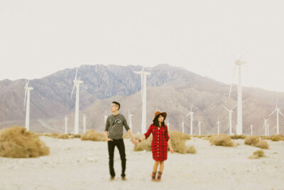 San Gorgonio Pass Wind Farm + 15 Top Things to Do in Palm Springs CA