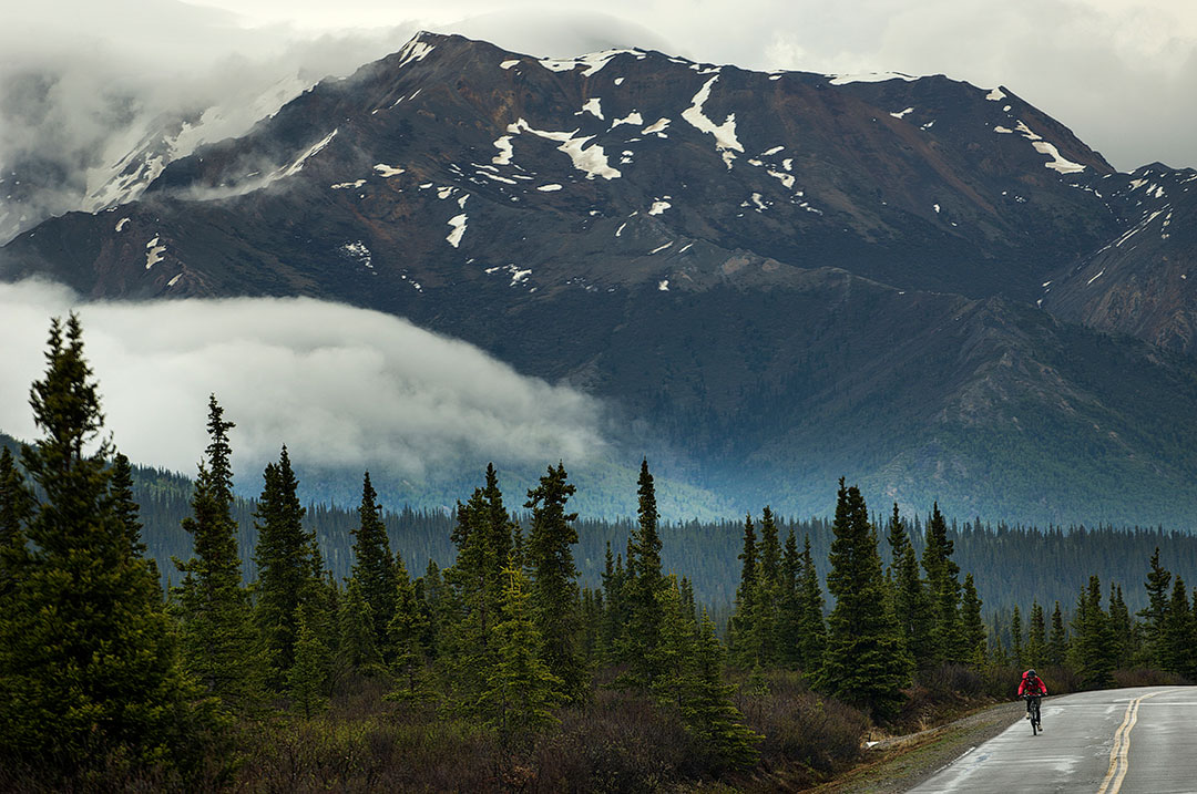 denali tourist attractions