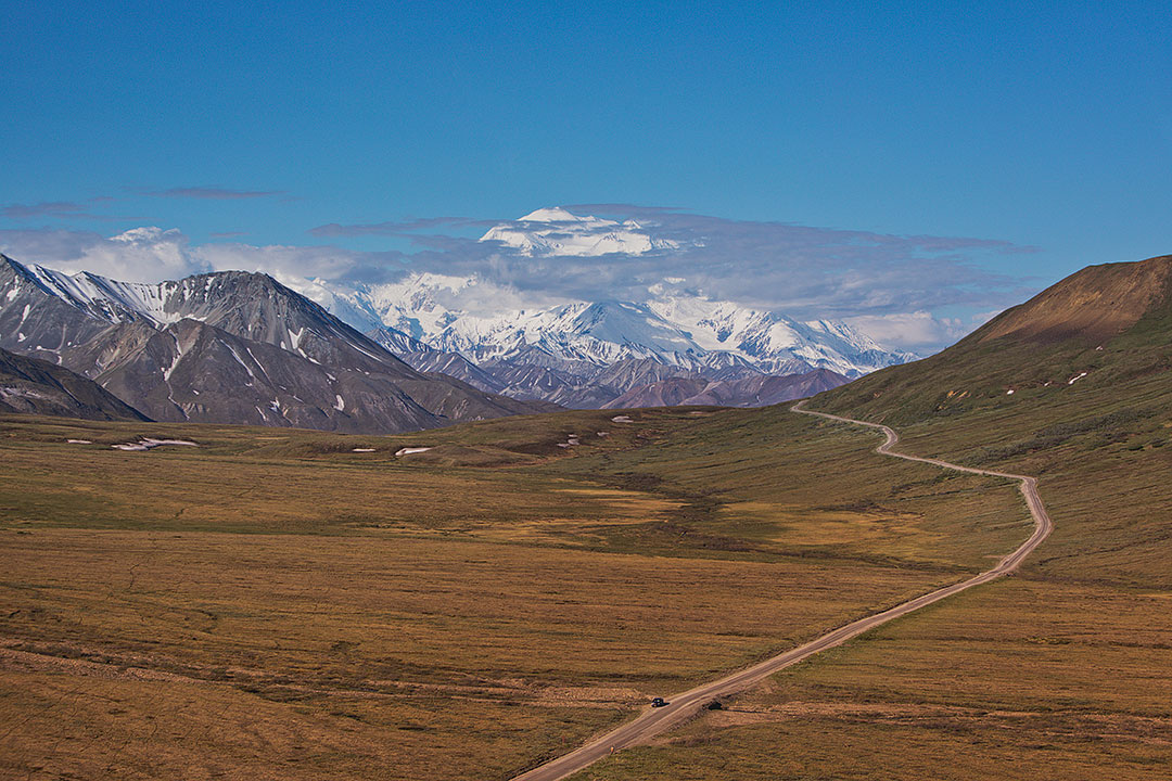 Denali state park clearance hiking