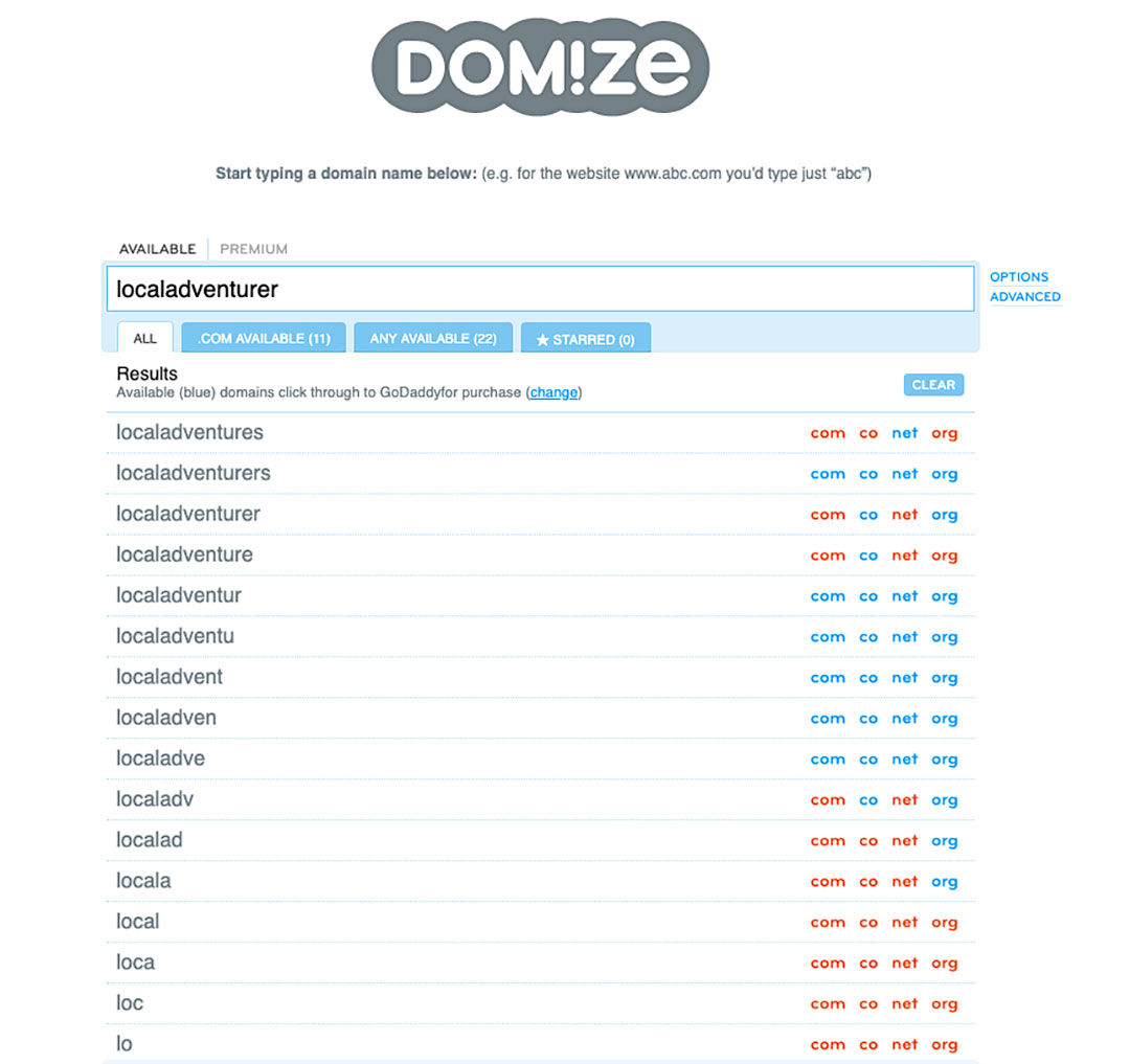 How to Choose a Domain Name through Domize