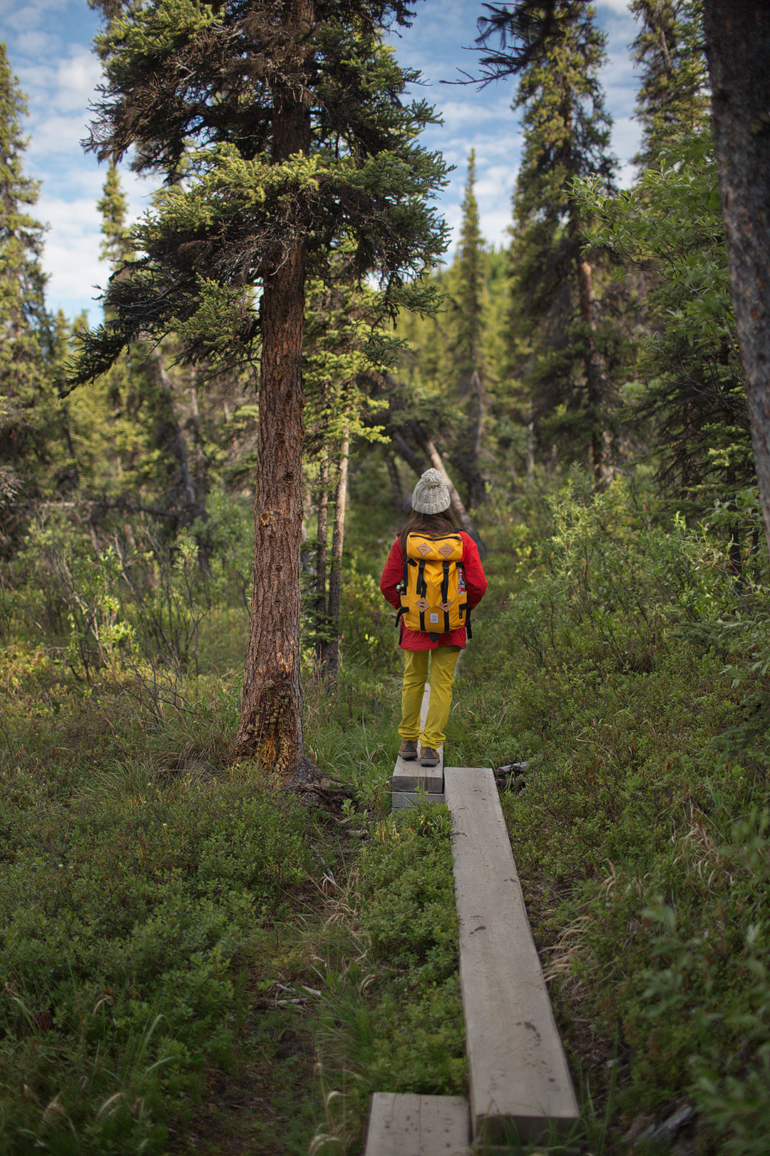 Triple Lakes Trail Denali National Park Hikes