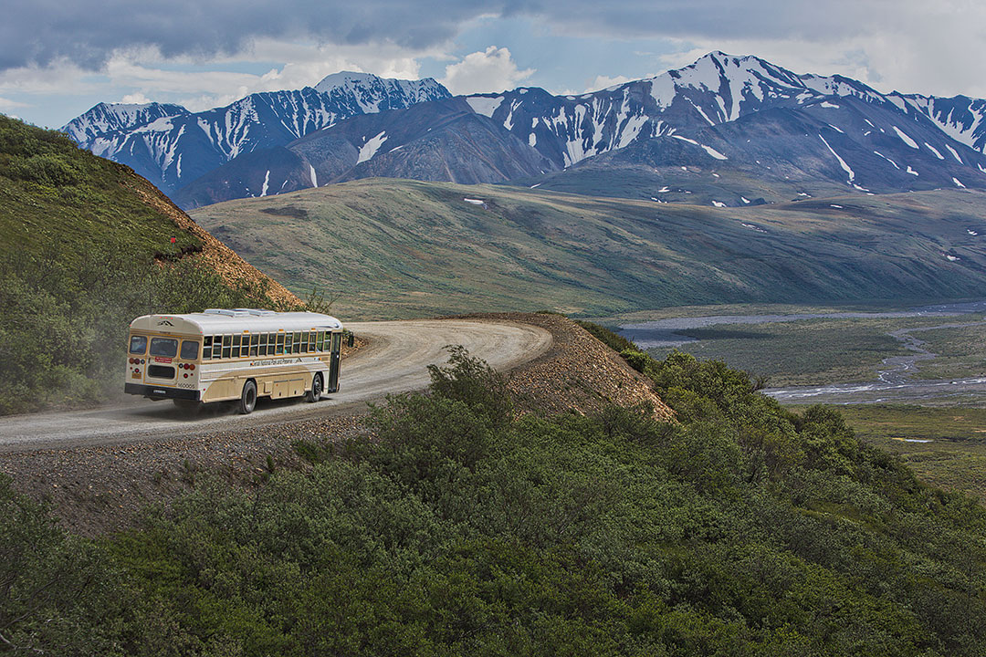 The Tundra Wilderness Tour + 17 Incredible Things to Do in Denali National Park Alaska