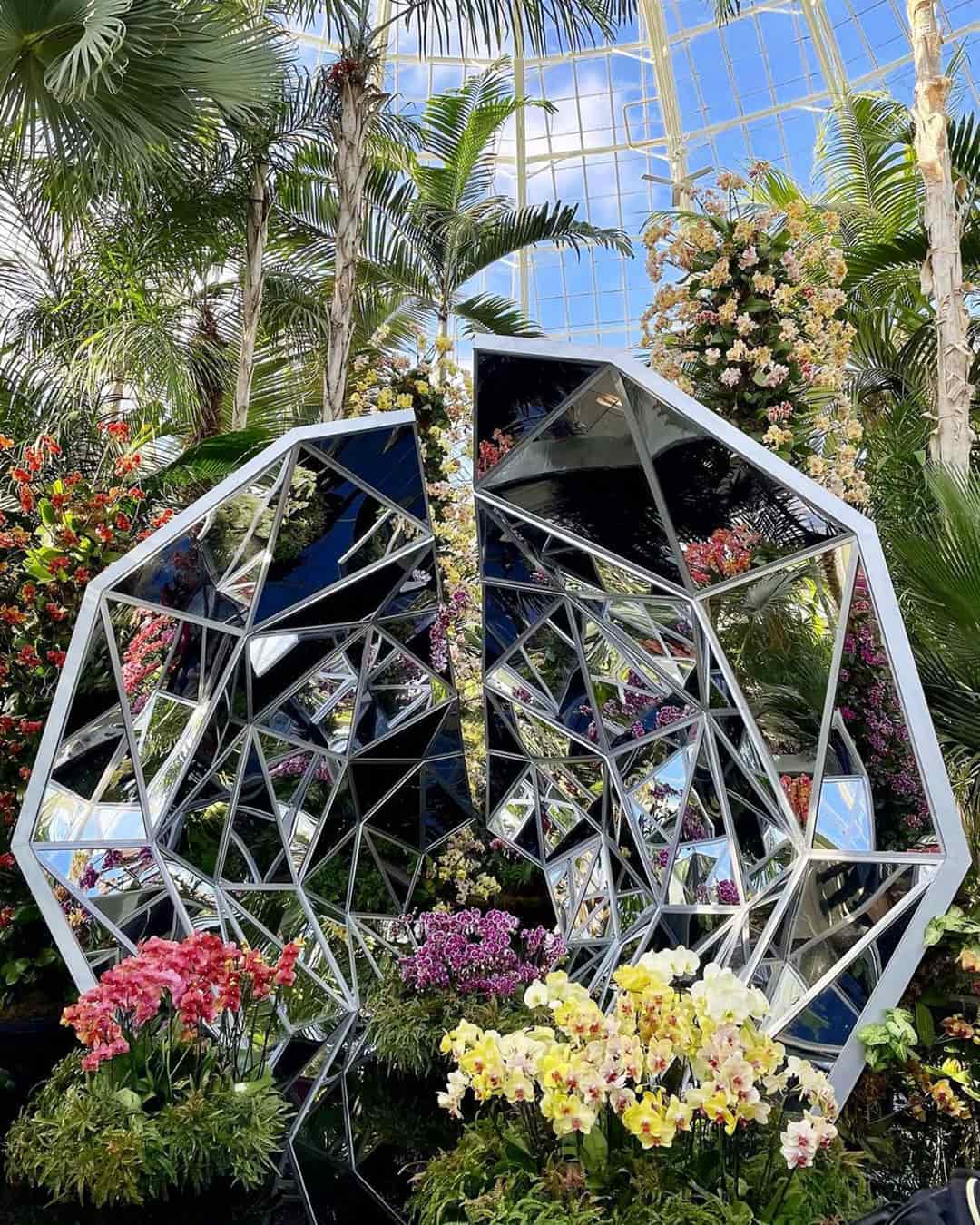 Kaleidoscope of Orchids NYC Pop Ups
