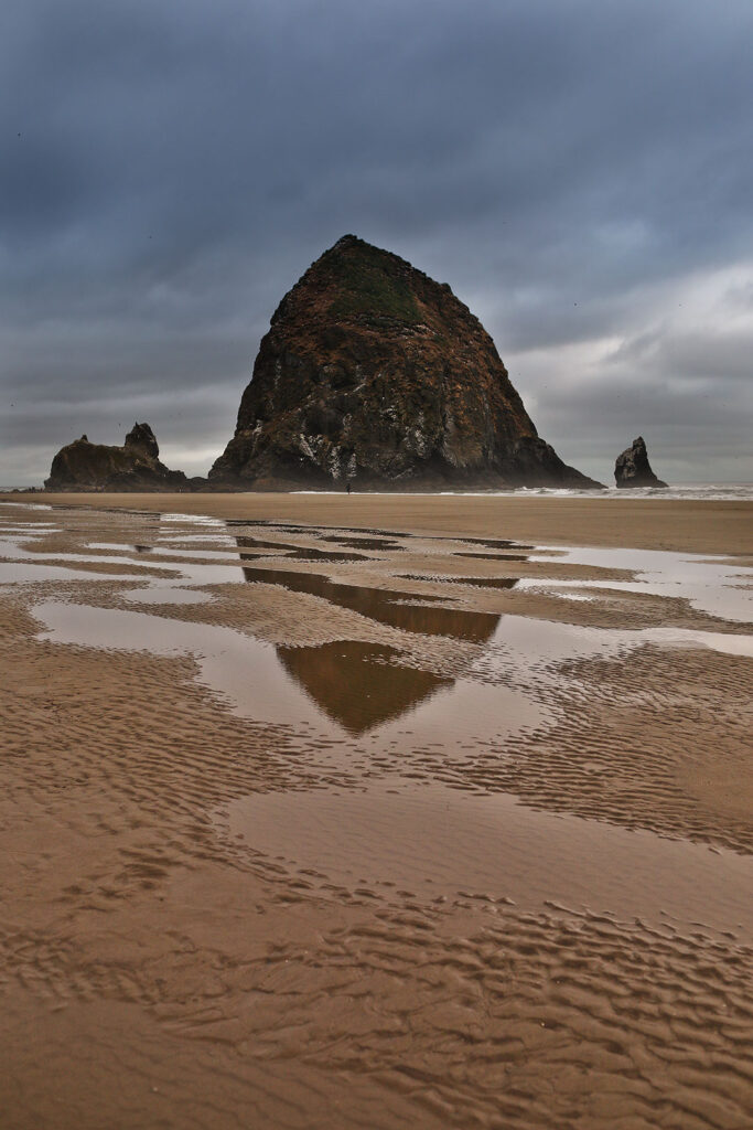 Oregon Coast Beaches + You Guide to the Best Things to Do on the Oregon Coast
