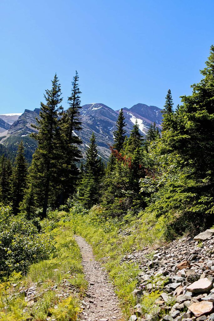 cracker lake trail