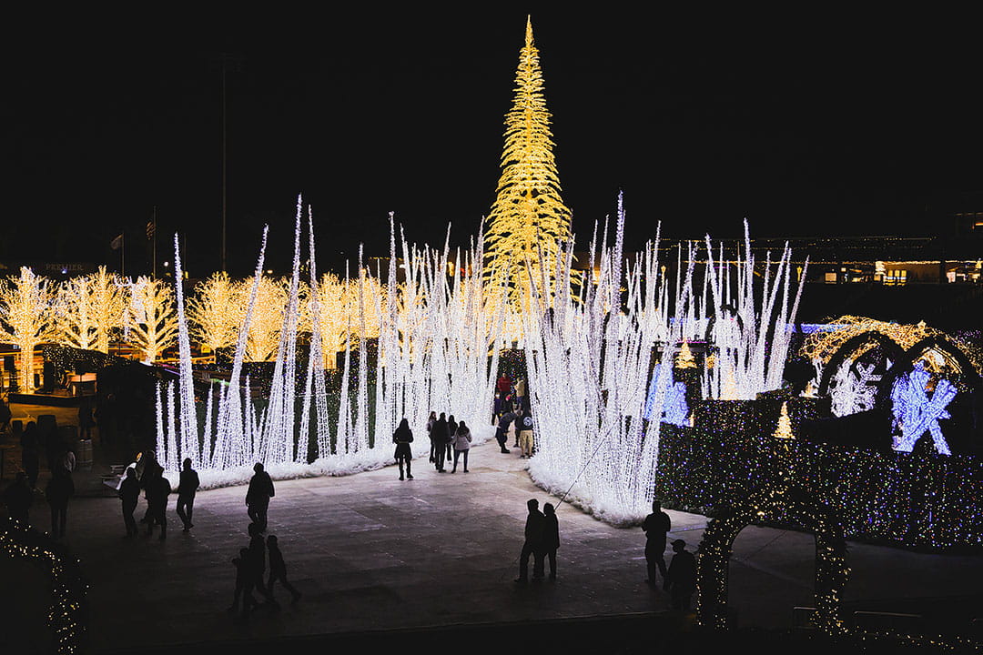 15 Best Things to Do for Christmas in Las Vegas, Nevada