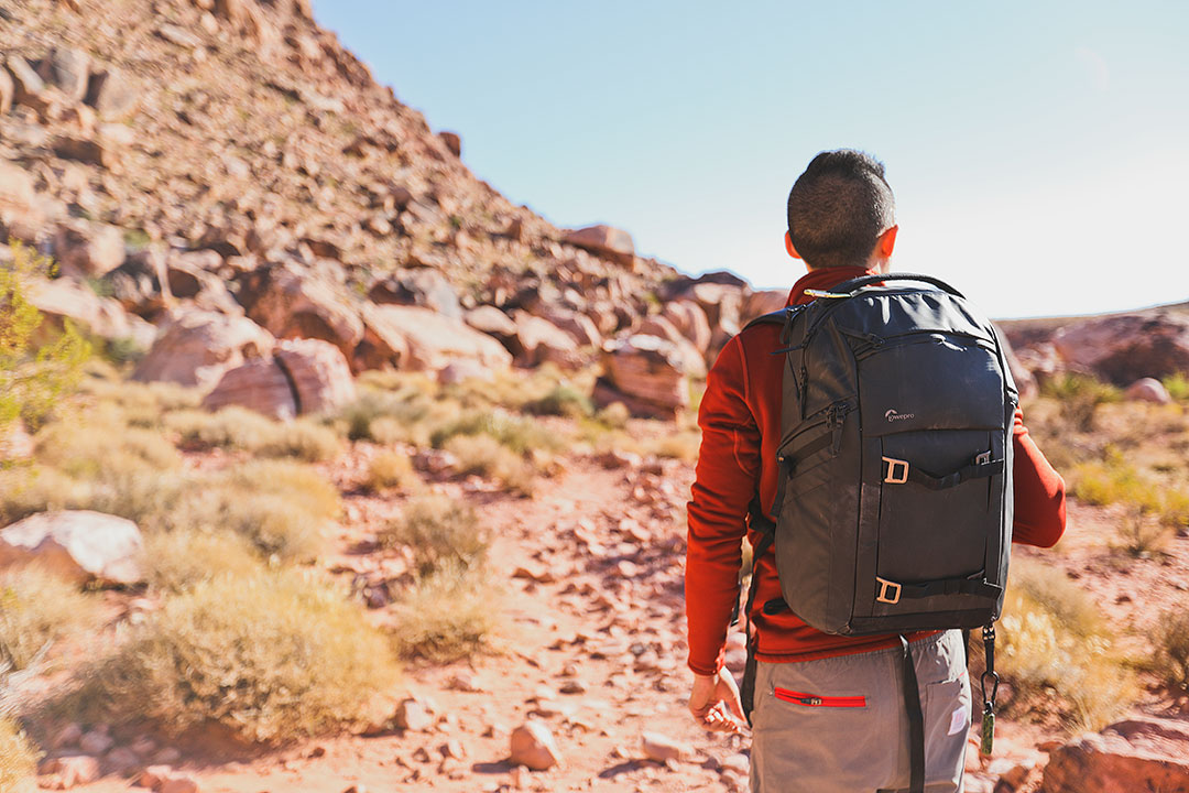 We Found the Best Camera Backpack of All Time 2023 » Local Adventurer