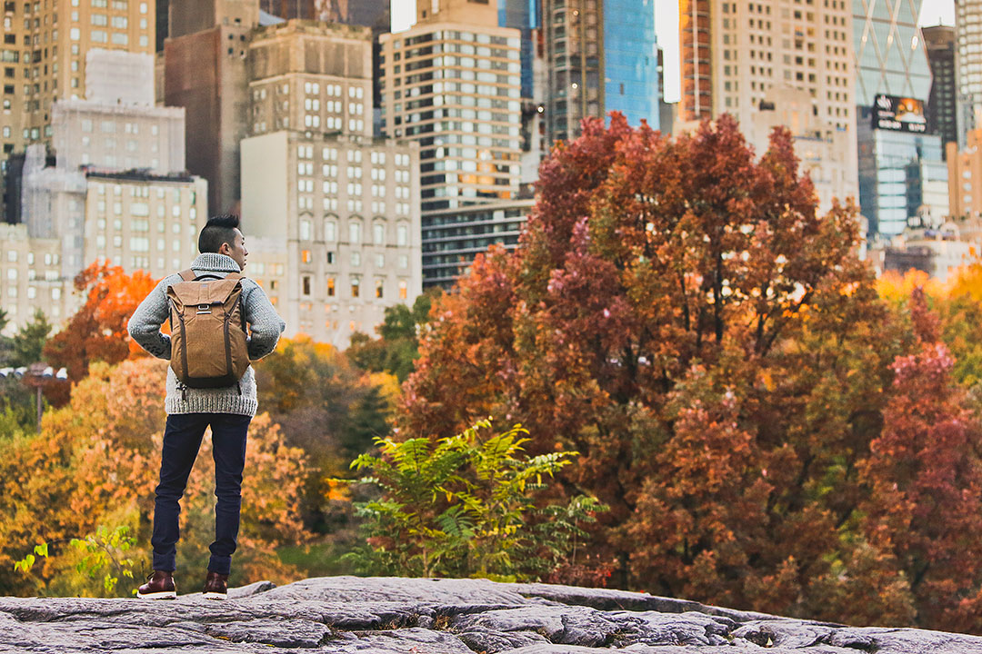 The perfect travel backpack by Urban Monkey 🎒 