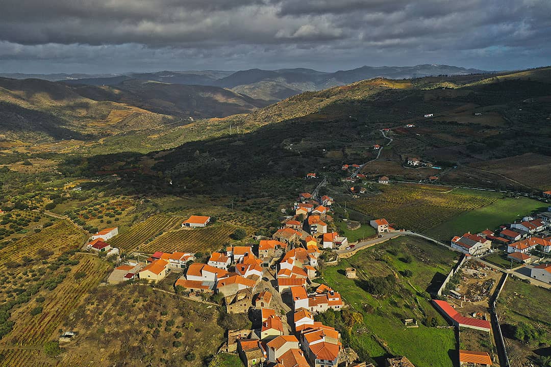 Douro Valley Wineries