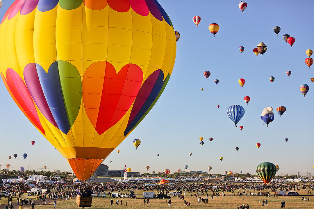 can u take dogs into balloon festival