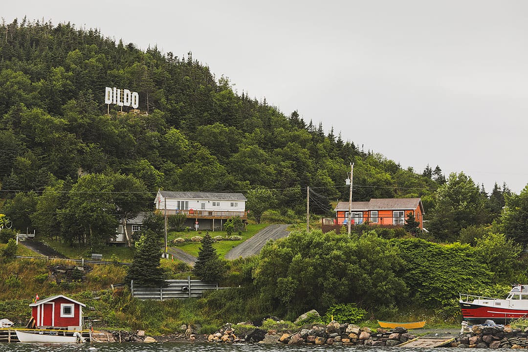 tourism newfoundland video