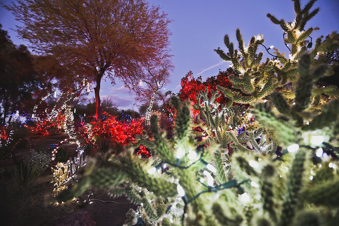 ethel m cactus garden lights