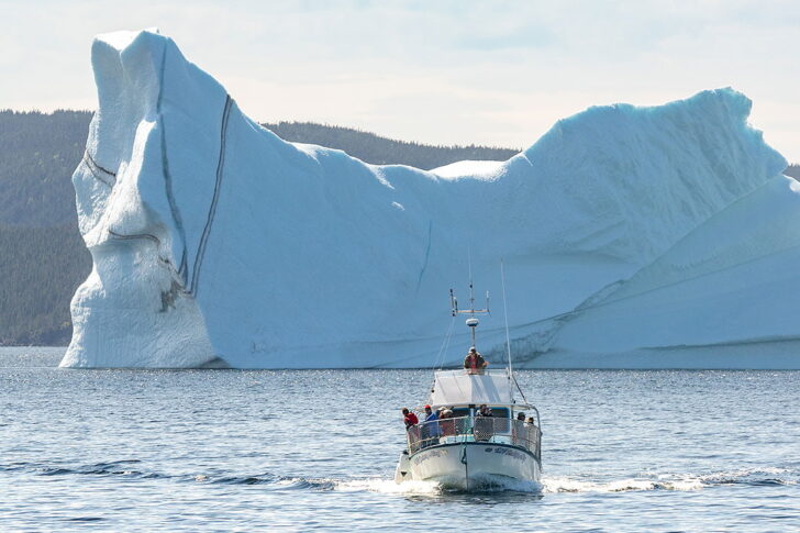 Iceberg Alley Newfoundland Vacation Guide and Tips