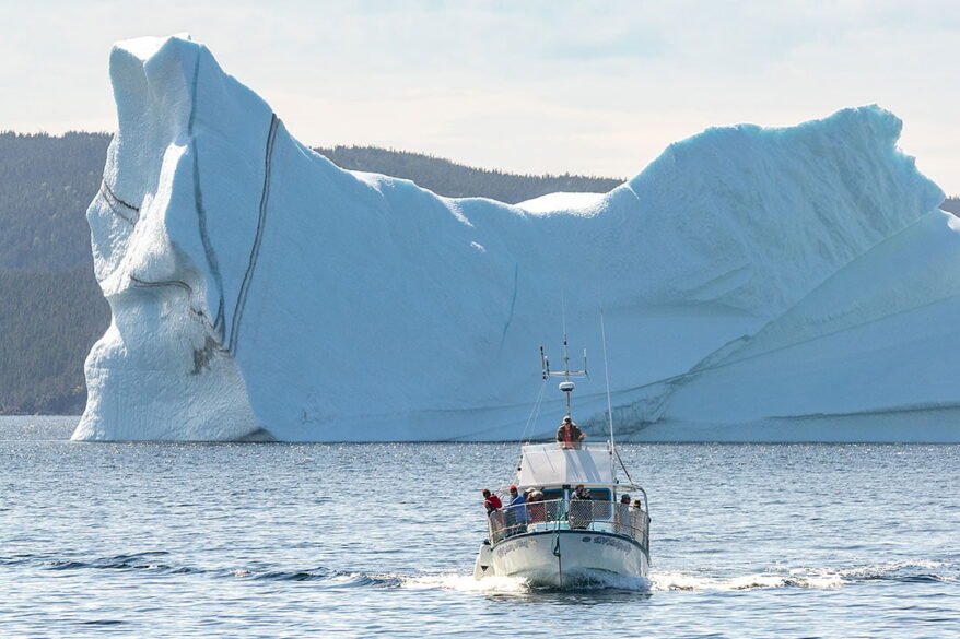 25 Unforgettable Things to Do in Newfoundland » Local Adventurer