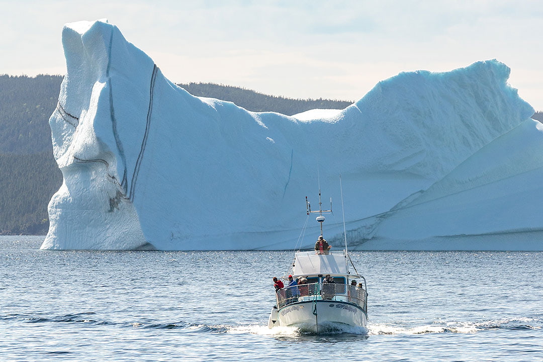 places to visit in newfoundland in winter