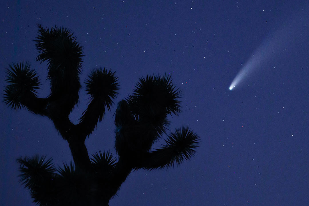 Neowise Comet + Stargazing Events to See This Year