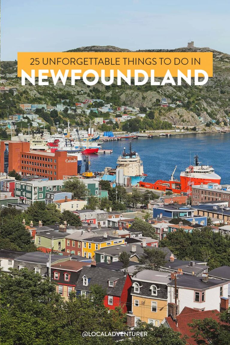 travel to newfoundland in october