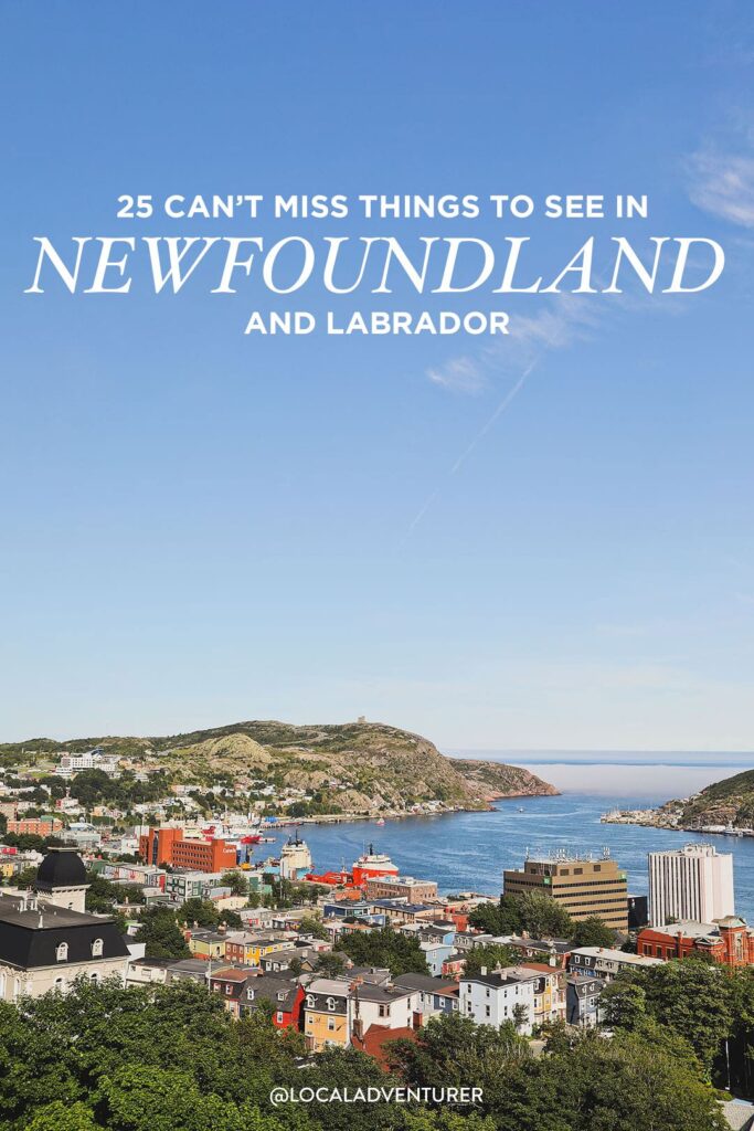 What to Do in Newfoundland and Labrador