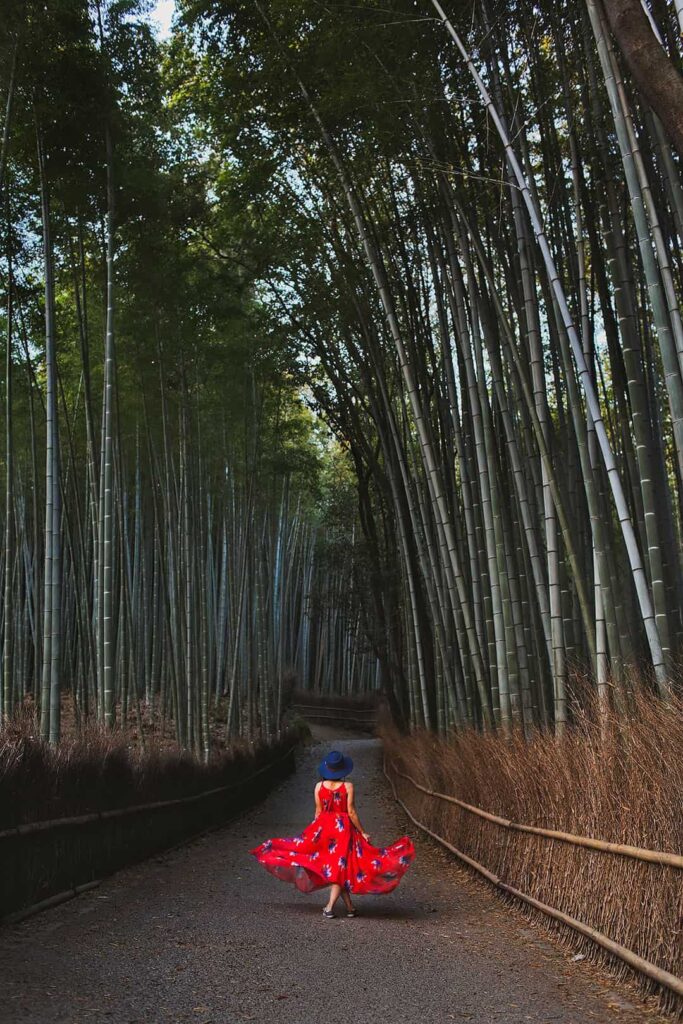 Arashiyama Bamboo Grove + 15 Amazing Things to Do in Kyoto for First Timers