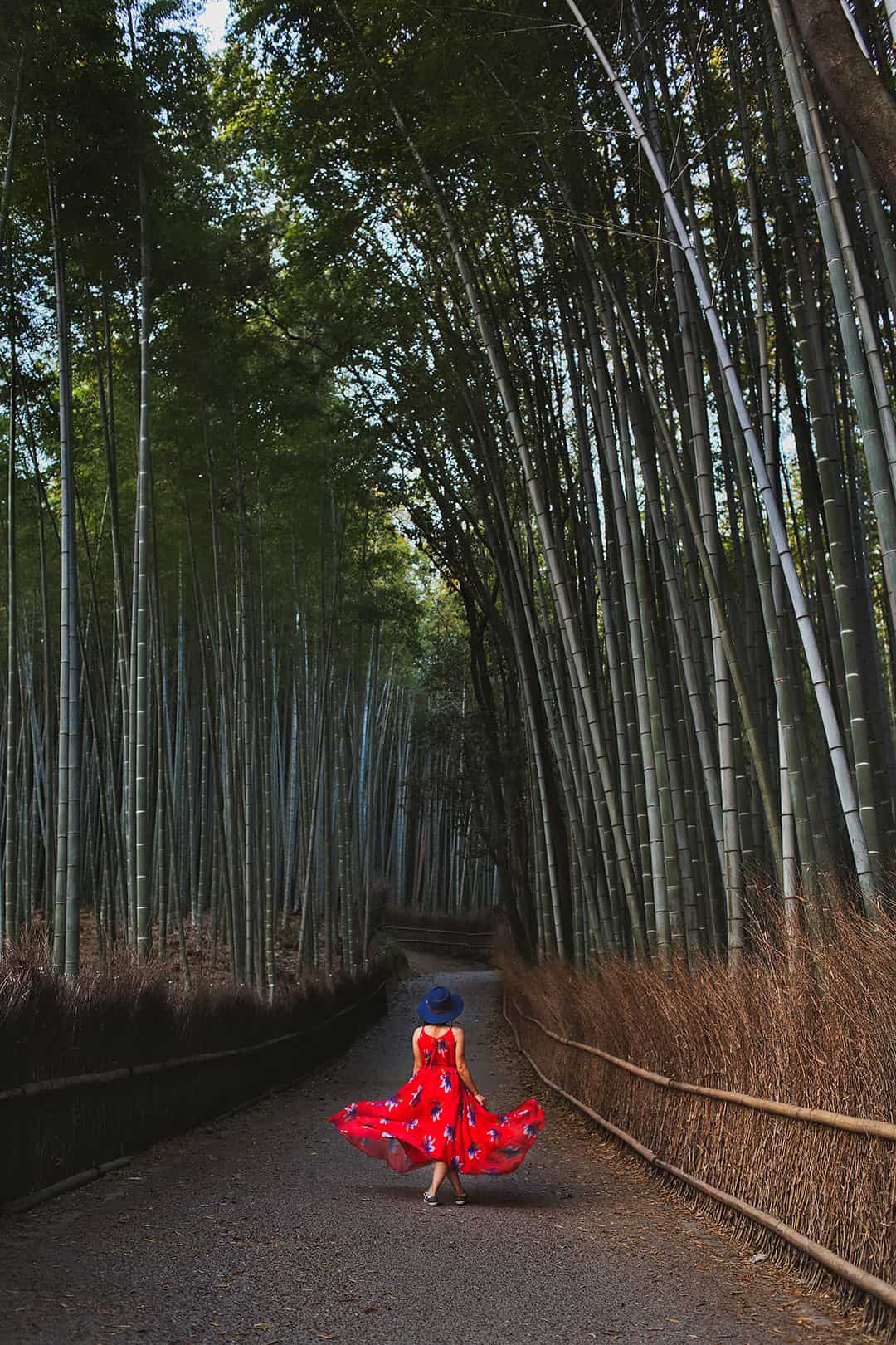 Arashiyama Bamboo Grove + 15 Amazing Things to Do in Kyoto for First Timers