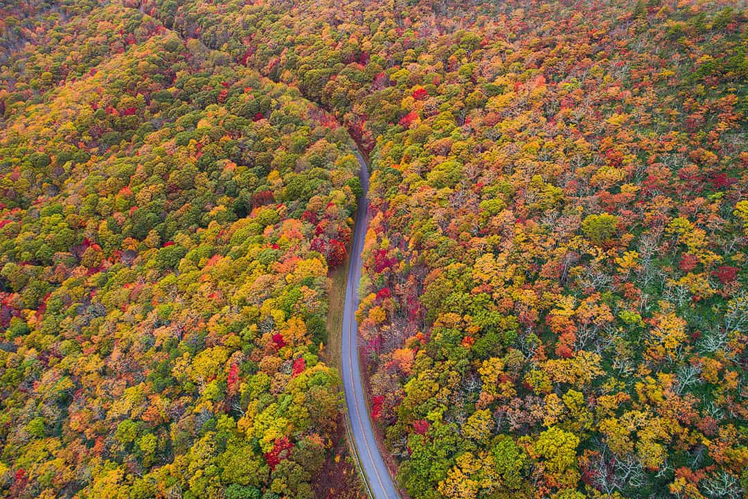 Blue Ridge Parkway Asheville NC + 15 Best Weekend Trips from Atlanta GA