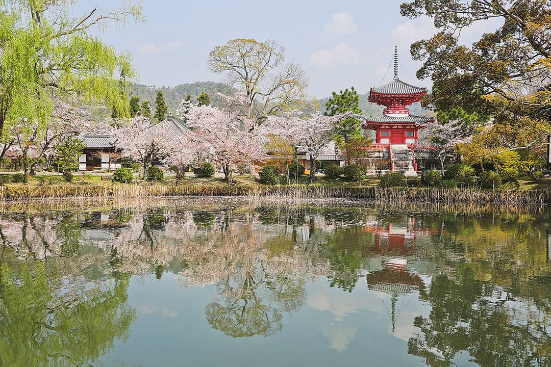 Daikaku-ji Temple