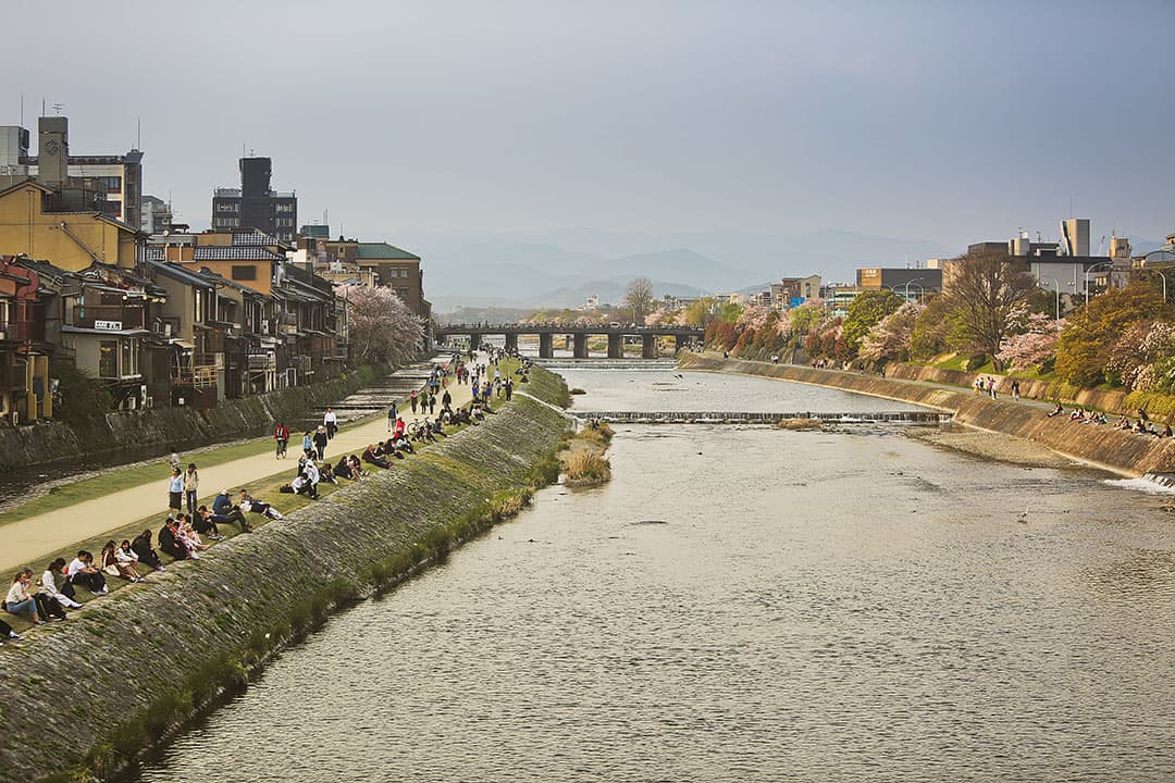 Kamogawa River