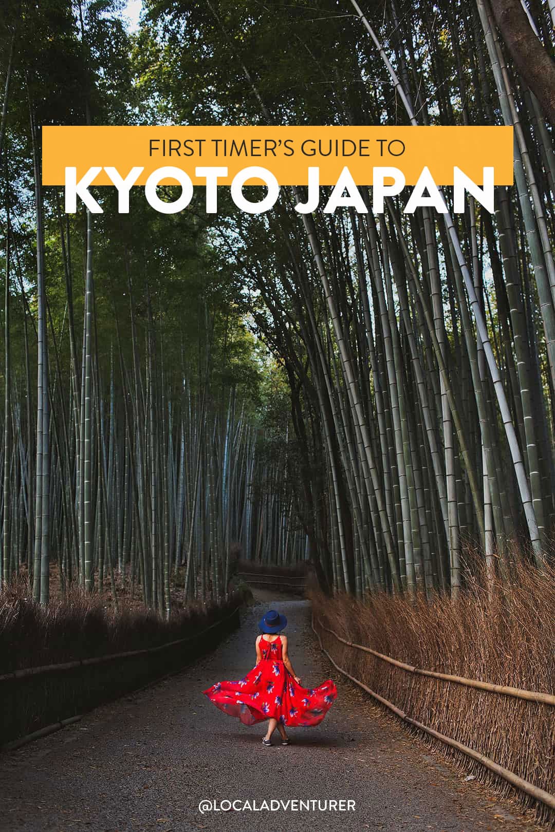 15 Amazing Things to Do in Kyoto Japan for First Timers