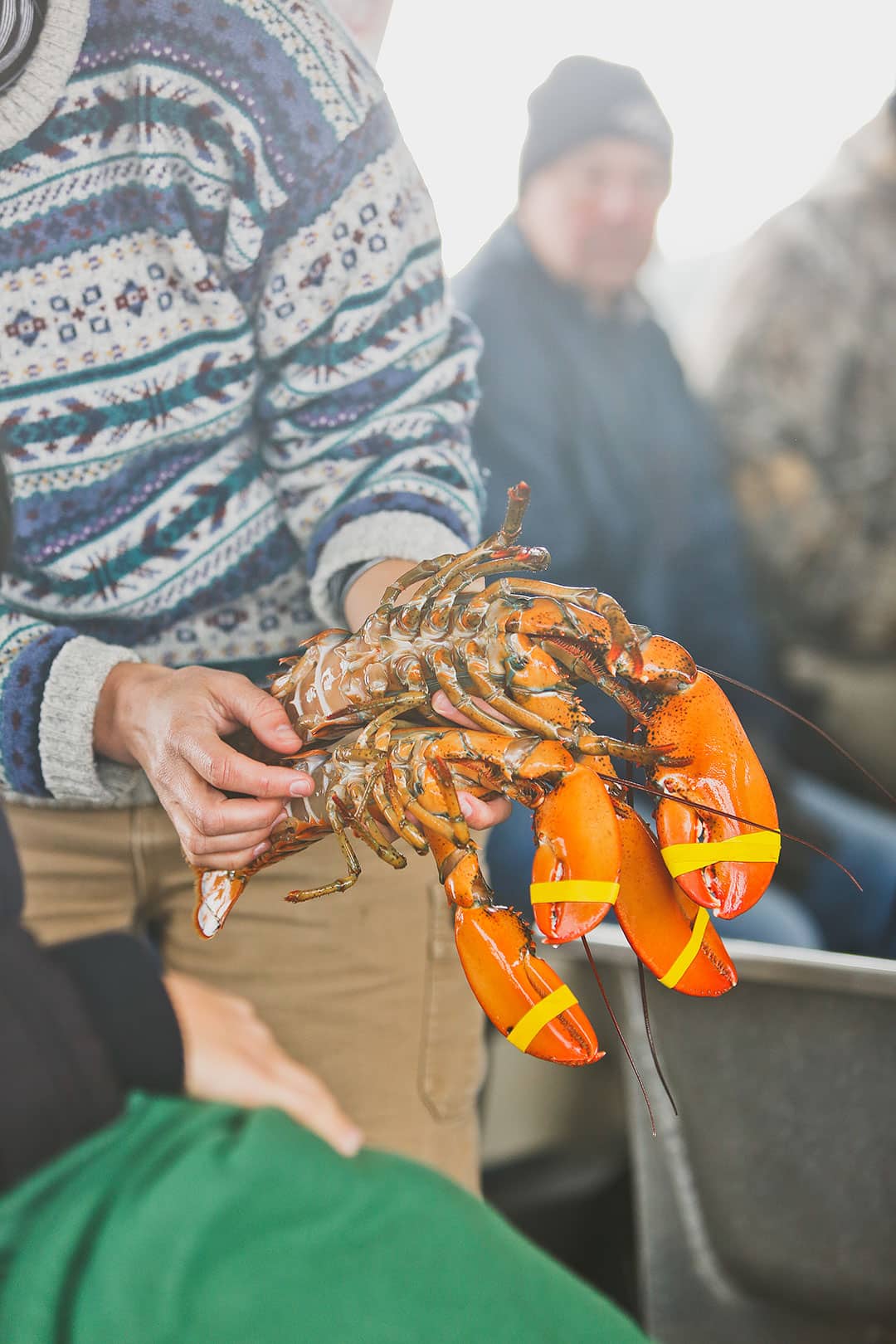 Bar Harbor Lobster Tour + 15 Amazing Things to Do in Acadia National Park