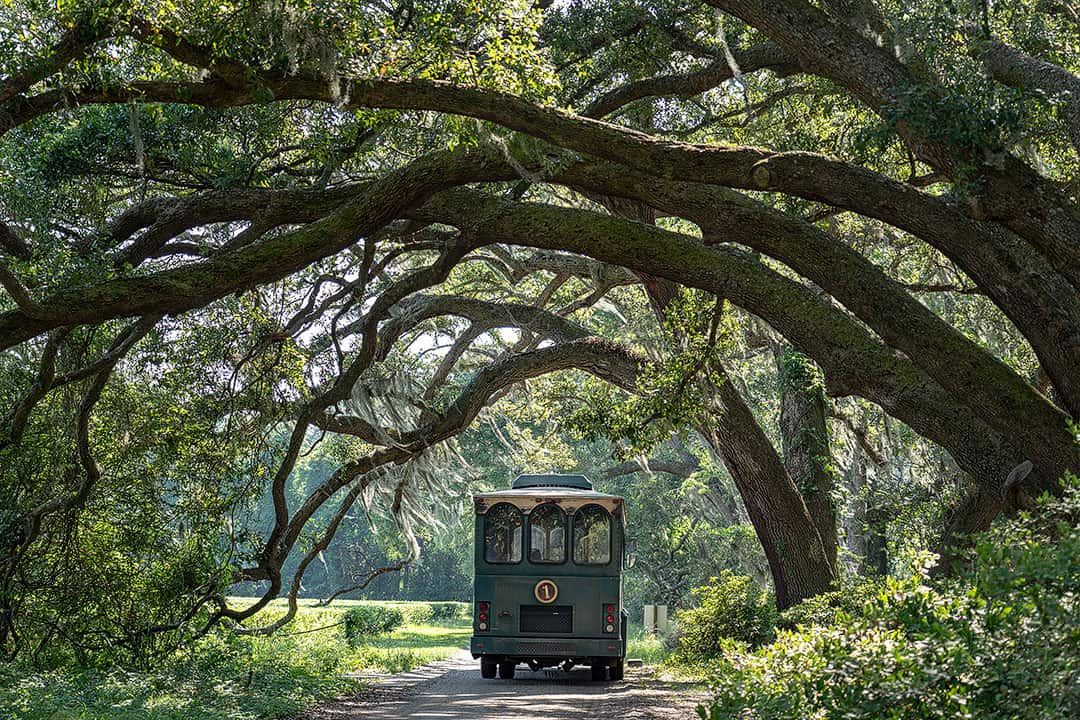 Charleston Sc