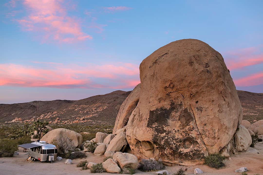 Belle Campground Joshua Tree + best national parks to visit in january