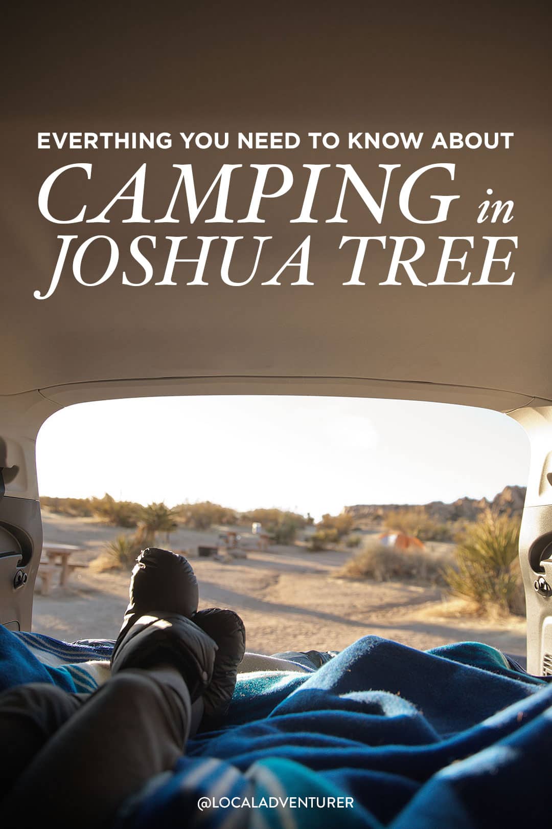 Best Joshua Tree Camping