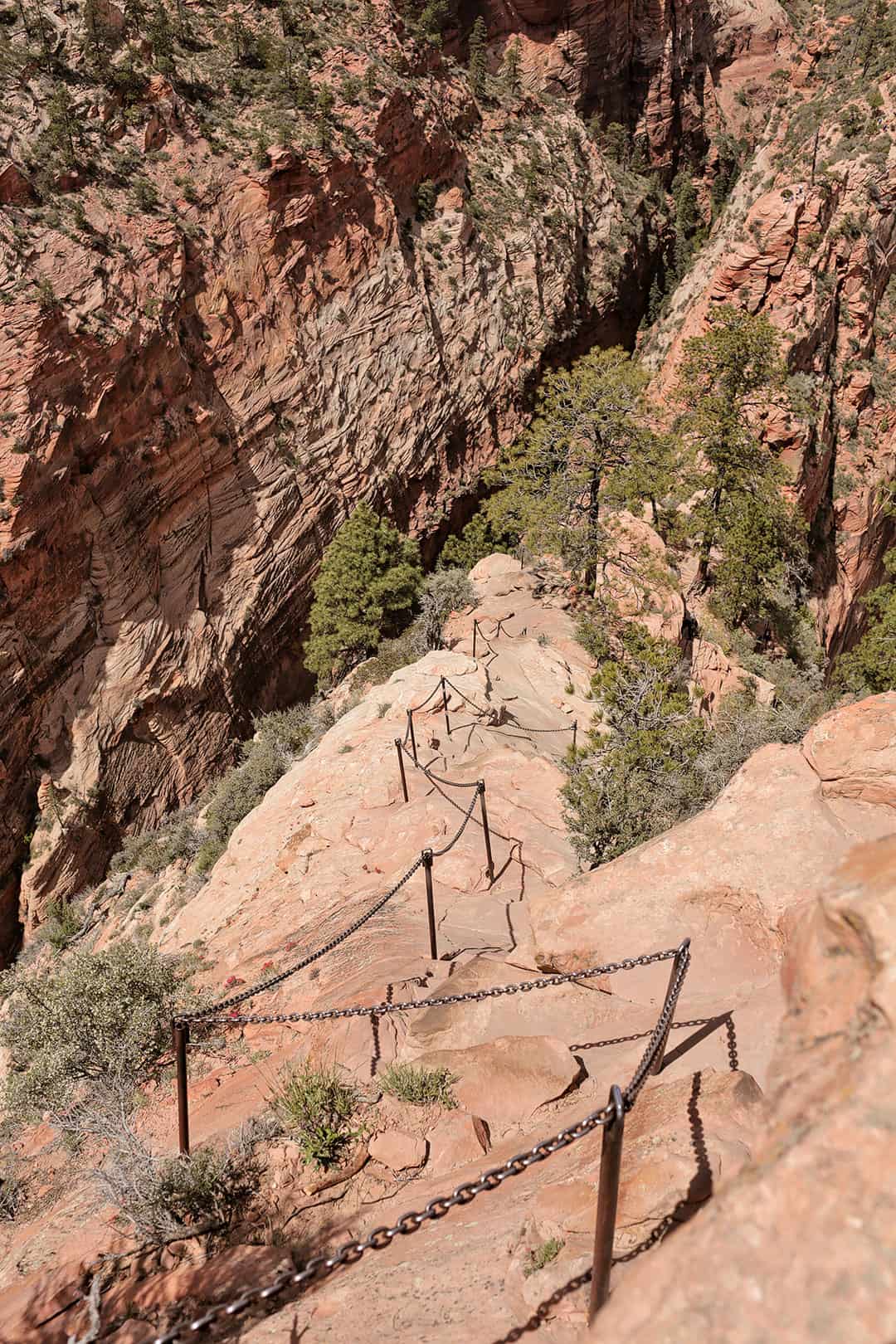 Hike Angels Landing - The Steep Chain Section + 15 Incredible Things to Do in Zion National Park